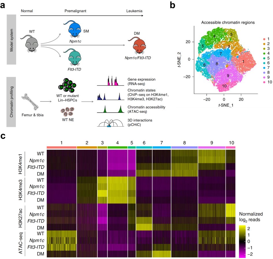 Figure 2. Gene mutations synergize 3D enhancer